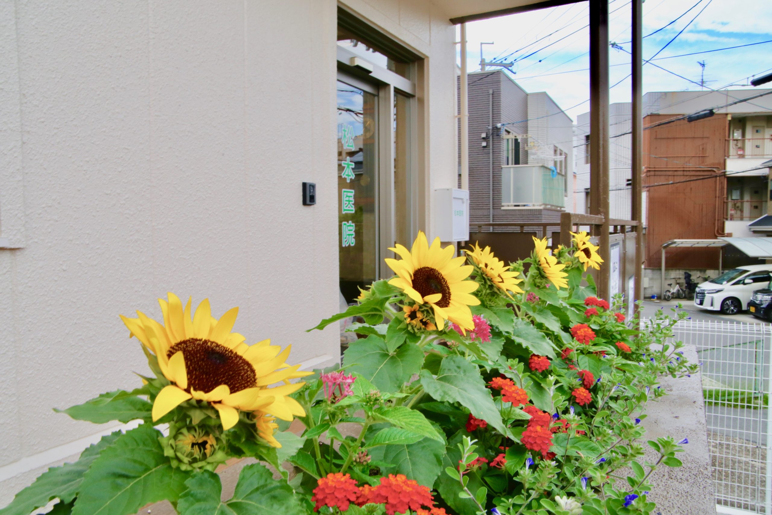 医院入り口の花壇（定期的に植え替えられますので、季節の移り変わりが楽しめます）